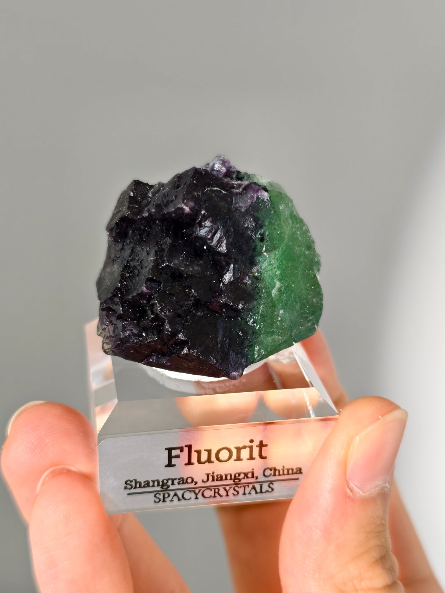 Shangrao Fluorit mit Pyrit: grüner Oktaeder mit lila Würfeln, Neufund!