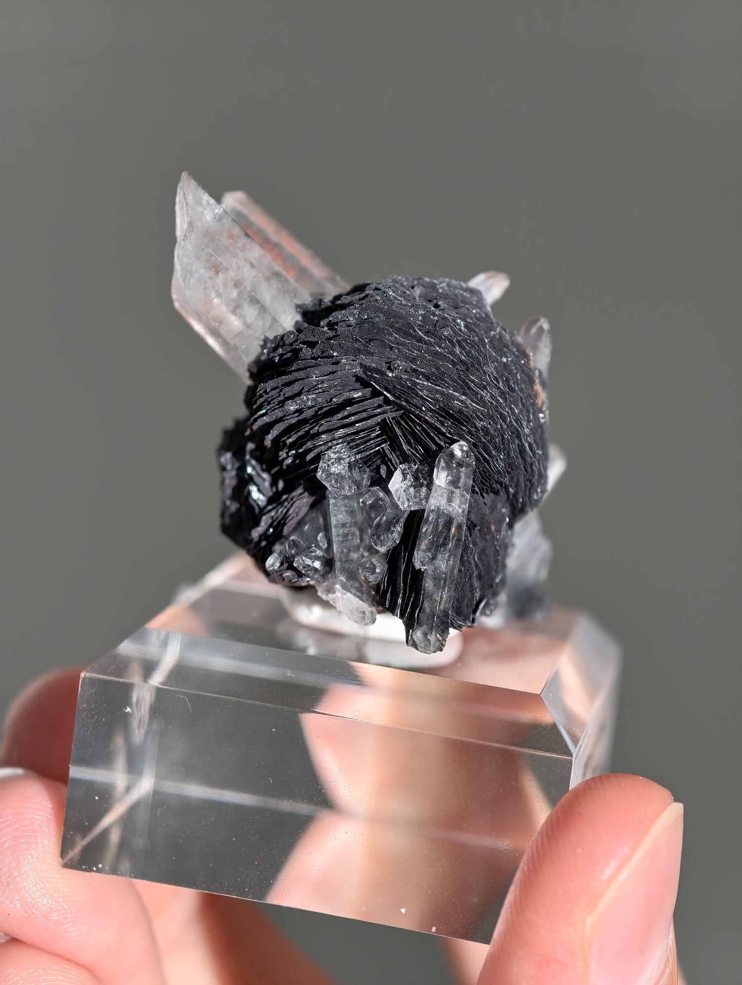 Schwarze Hämatit Rose mit Bergkristall aus Jinlong