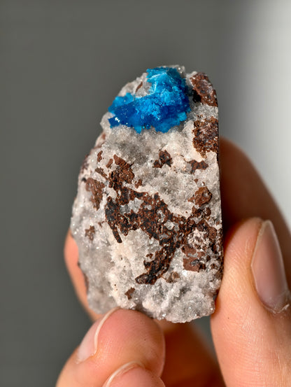 Cavansite aus Indien in Matrix