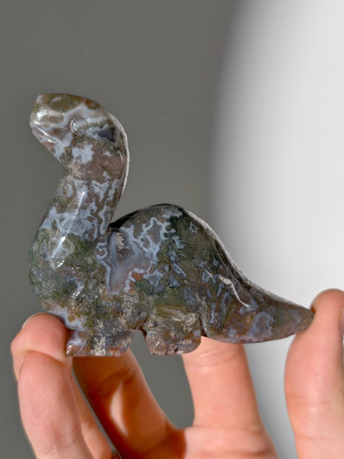 Moosachat Dino 🦕 (Brontosaurus)