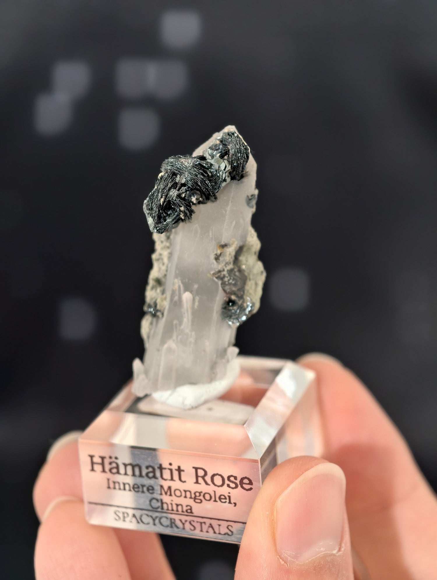 Schwarze Hämatit Rosen, Innere Mongolei, China 🌹