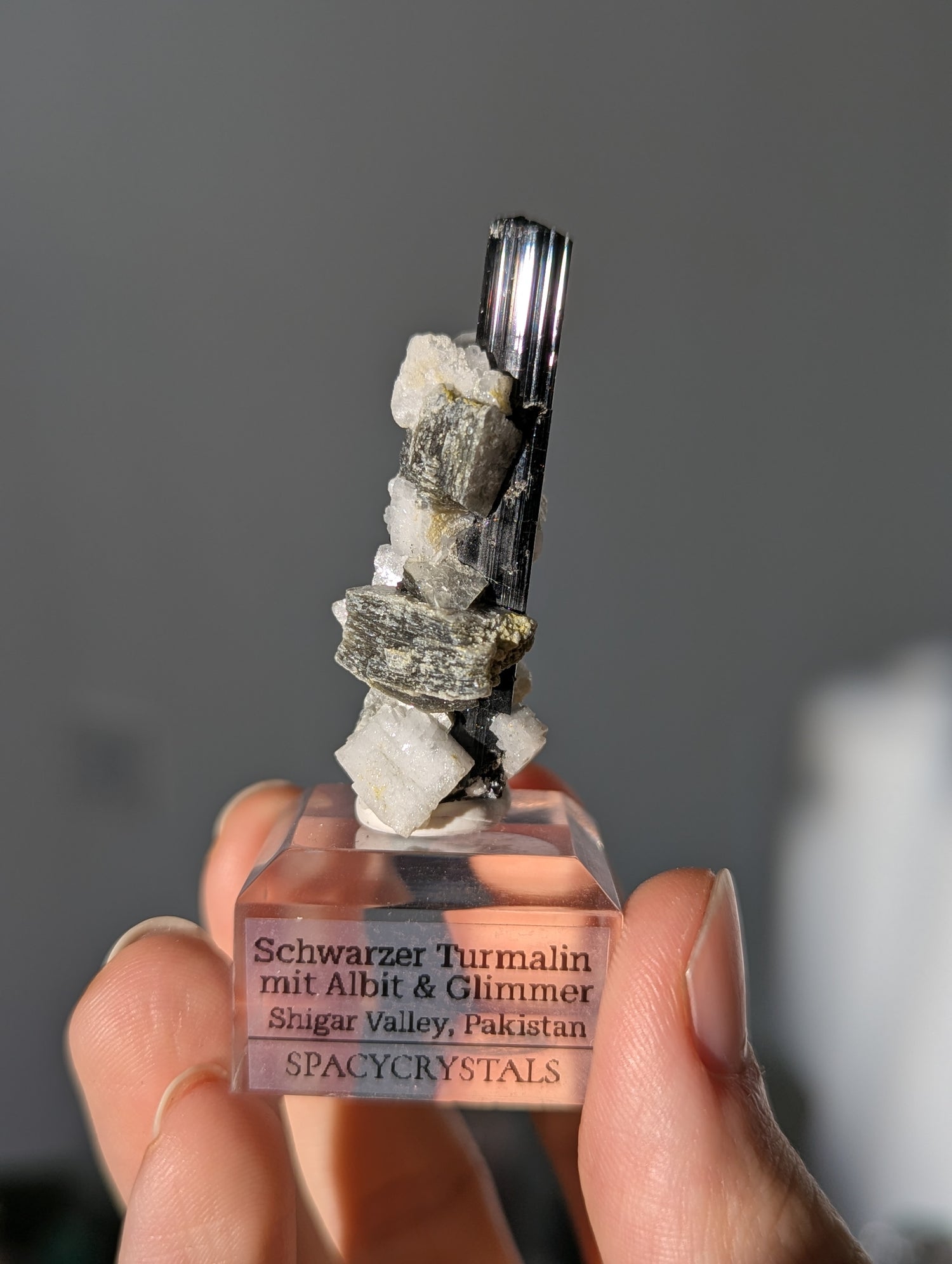 Schwarzer Turmalin (Schörl) mit Albit &amp; Glimmer auf Podest