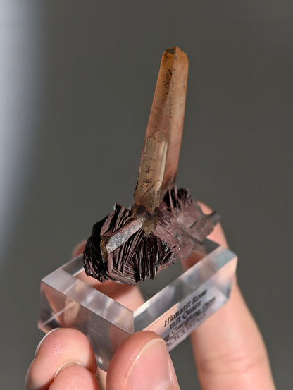 Rote Hämatit Rose mit Hämatitquarz aus Jinlong