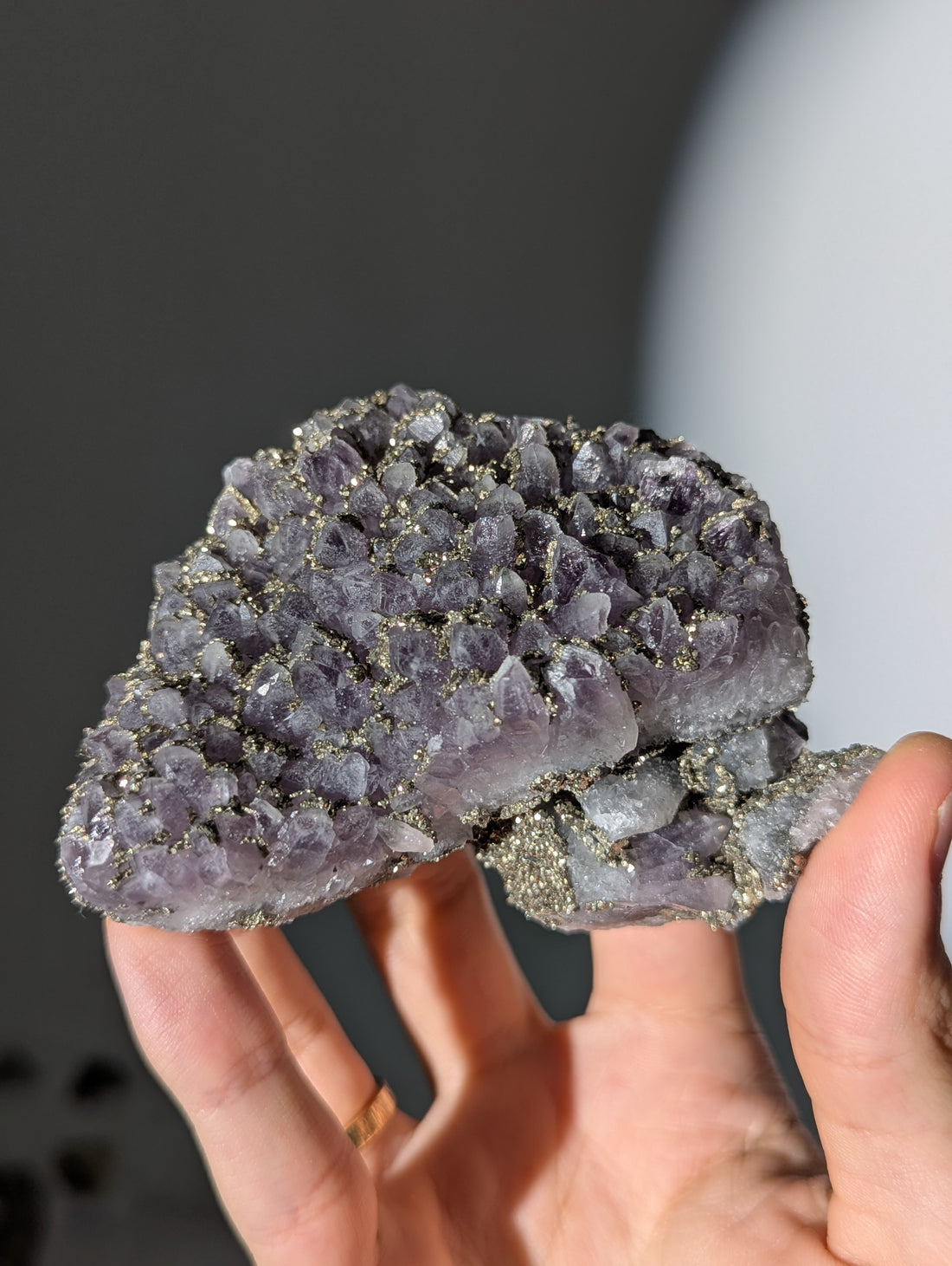 Pyrit auf Amethyst aus Bulgarien ✨