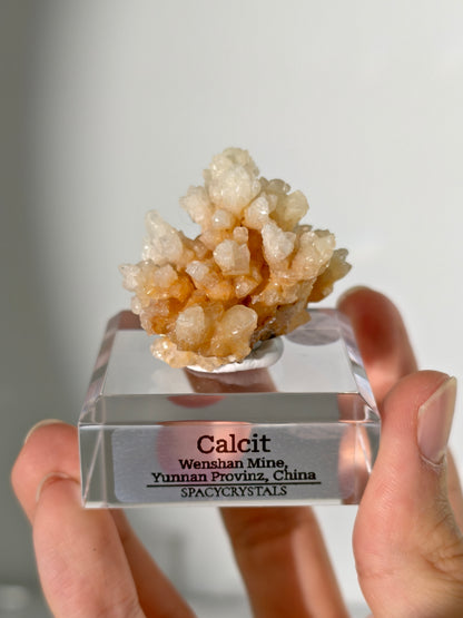 Korallenförmiger Calcit - Wenshan Mine