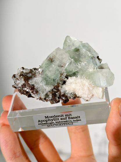 Mordenit mit Apophyllit auf Basalt aus Indien
