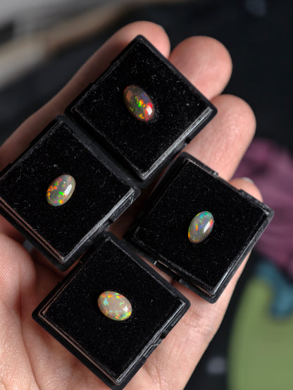 Welo Opal Cabochon in Dose (klein)
