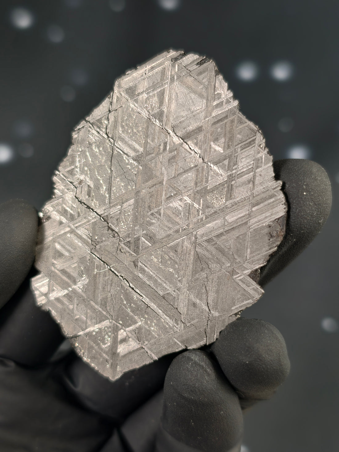 Muonionalusta Meteorit Scheibe 25,7g mit Zertifikat