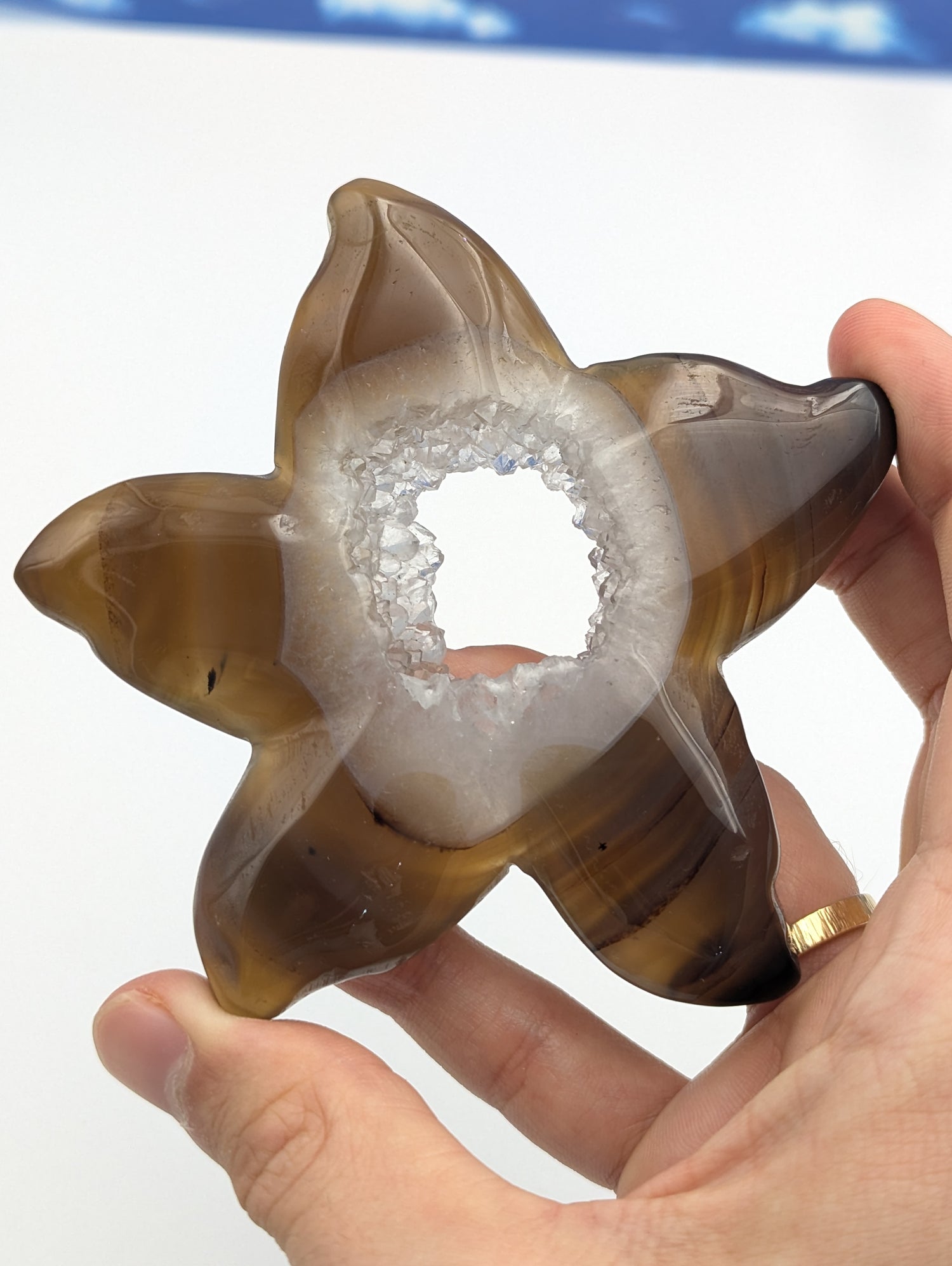 Achat Seestern mit Kristall Druse