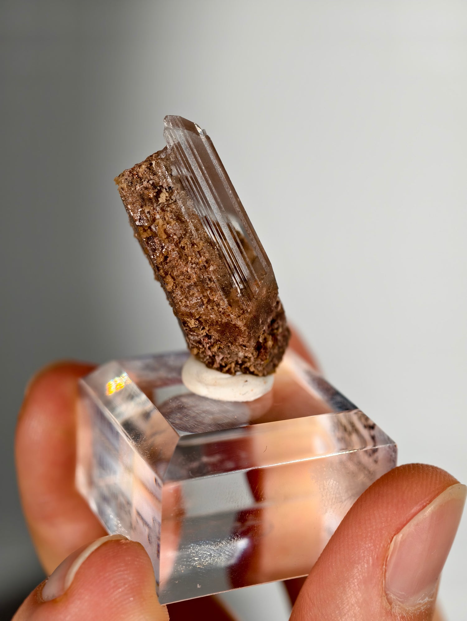 Glasklarer Durango Selenit (Gips) Kristall auf Matrix