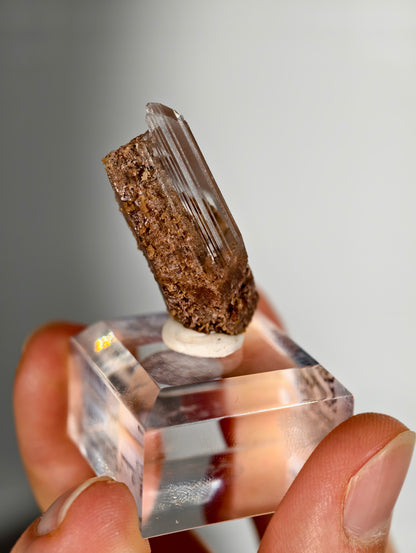 Glasklarer Durango Selenit (Gips) Kristall auf Matrix