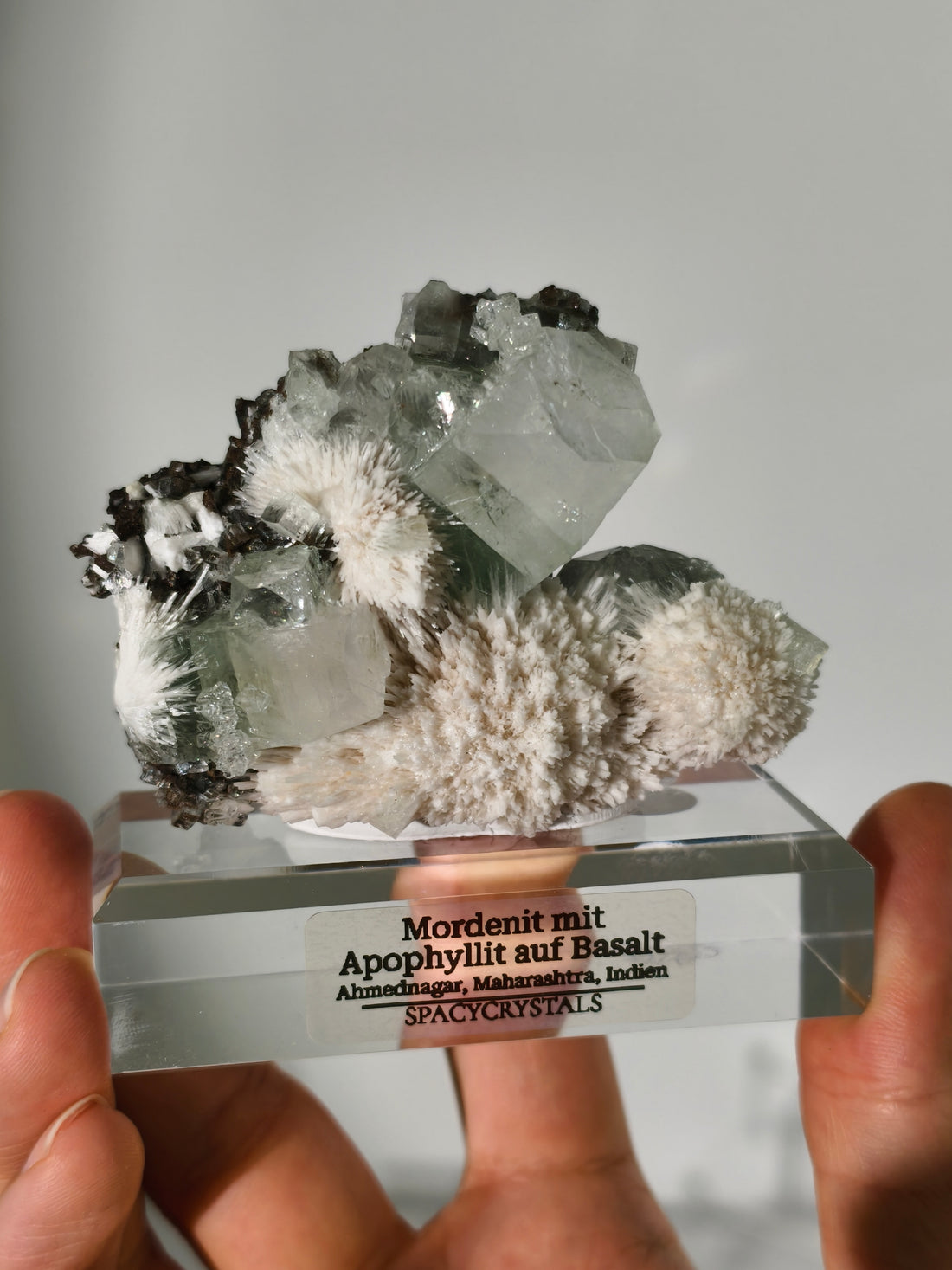 Mordenit mit Apophyllit auf Basalt aus Indien