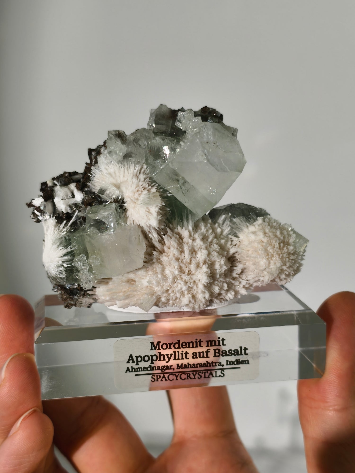 Mordenit mit Apophyllit auf Basalt aus Indien