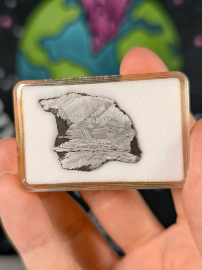 Muonionalusta Meteorit Scheibe 6,31g mit Zertifikat