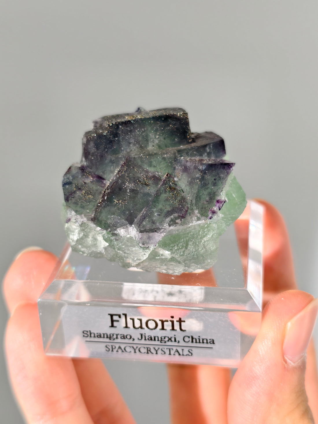 Shangrao Fluorit mit Pyrit: grüner Oktaeder mit lila Würfeln, Neufund!