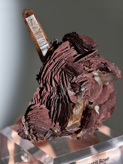 Rote Hämatit Rose mit Hämatitquarz aus Jinlong