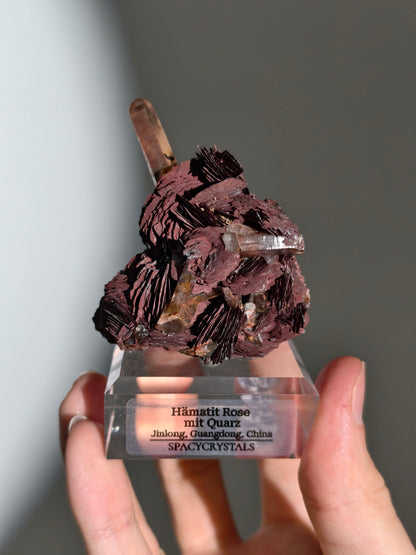 Rote Hämatit Rose mit Hämatitquarz aus Jinlong