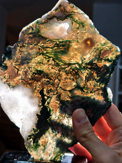 Moosachat Platte auf Holzsockel