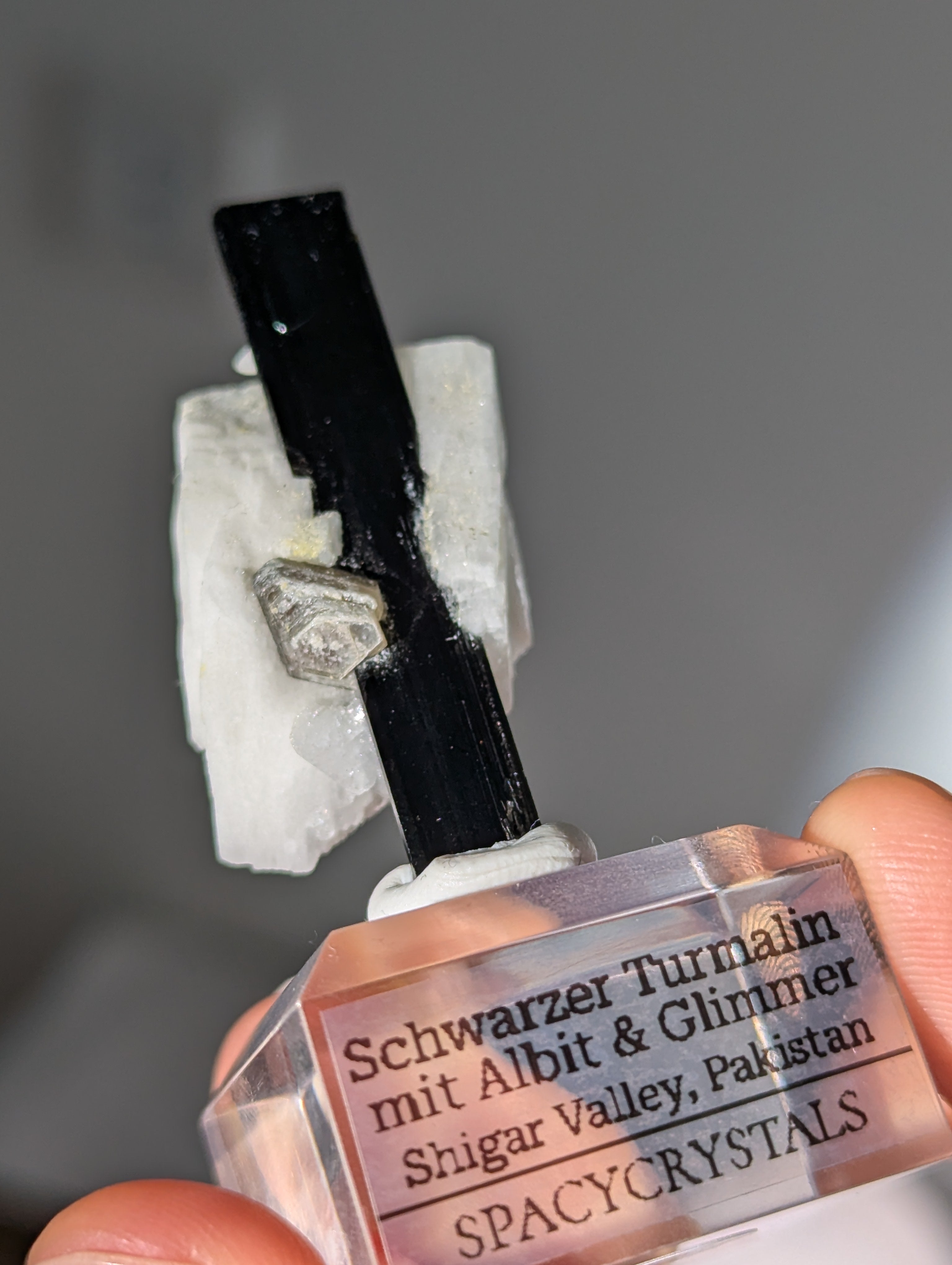 Schwarzer Turmalin (Schörl) mit Albit &amp; Glimmer auf Podest