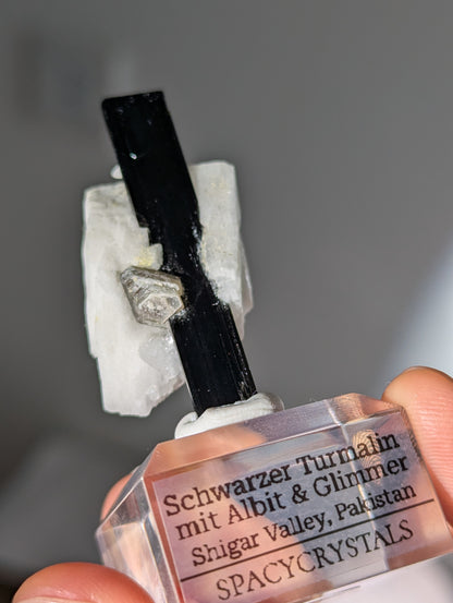 Schwarzer Turmalin (Schörl) mit Albit &amp; Glimmer auf Podest