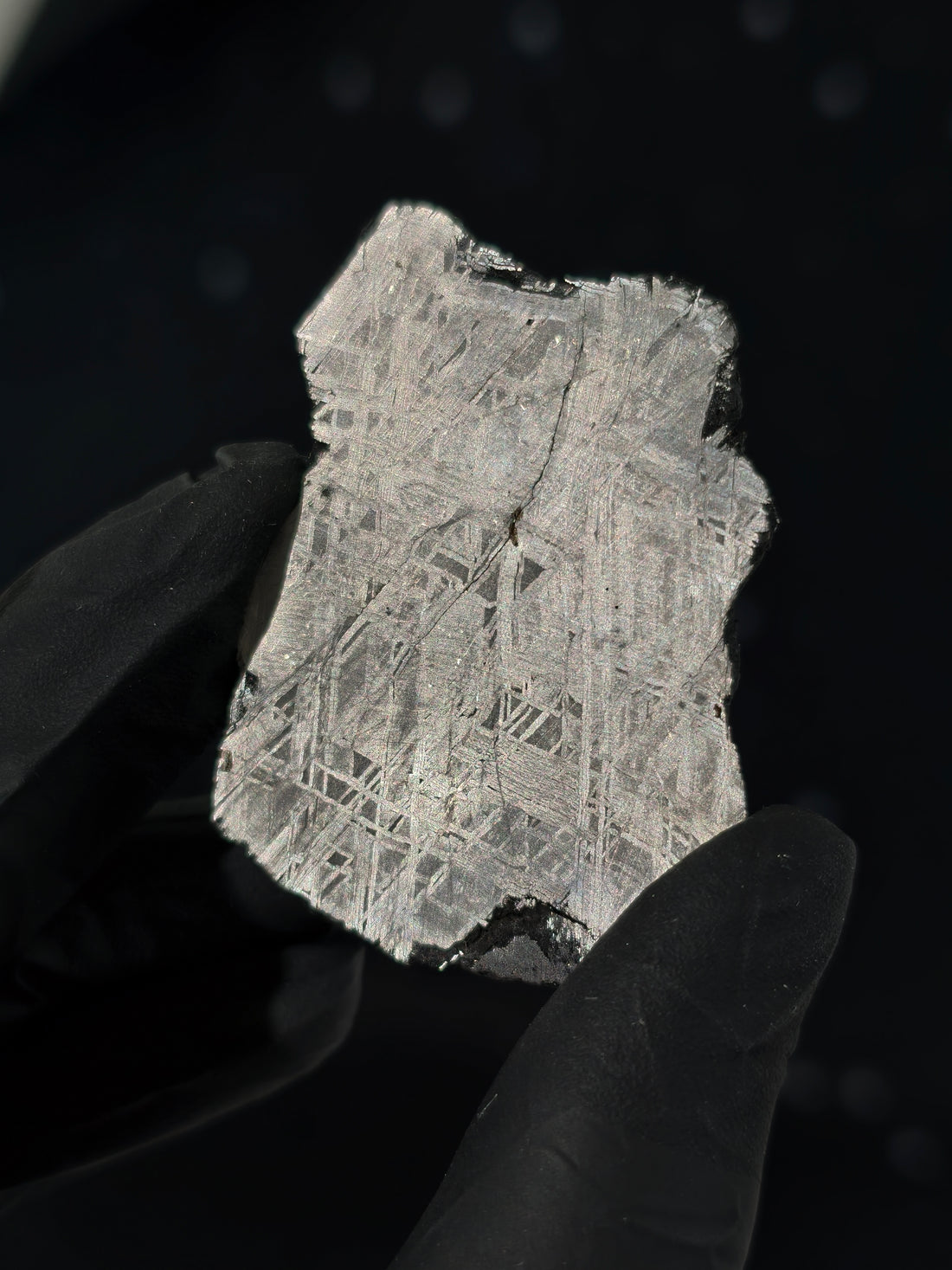 Muonionalusta Meteorit Scheibe 19,7g mit Zertifikat