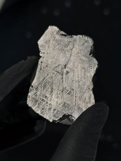Muonionalusta Meteorit Scheibe 19,7g mit Zertifikat