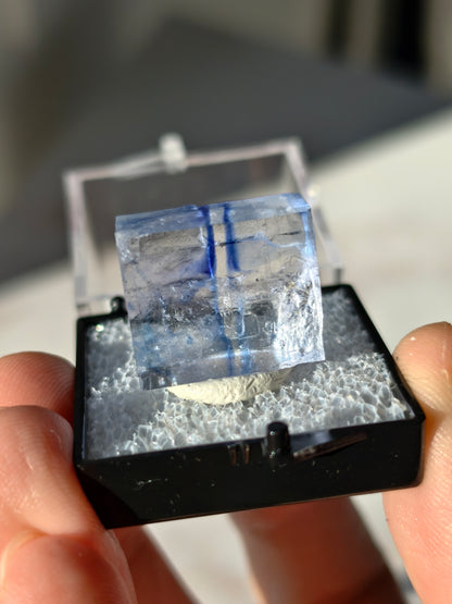 Blauer Halit aus Türkei in Box