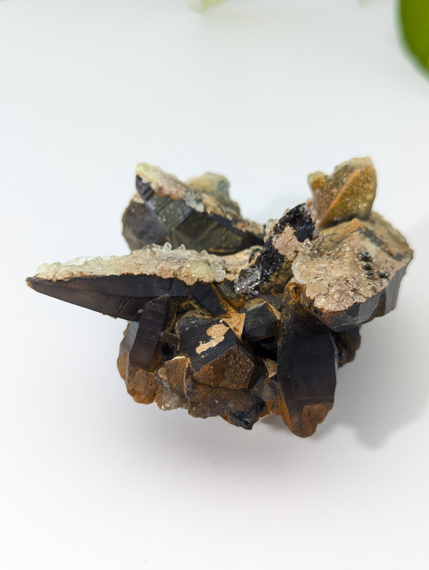 Rauchquarz Cluster mit UV-Aktivem Hyalit Opal Erongo Namibia