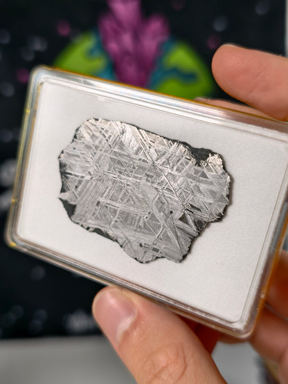 Muonionalusta Meteorit Scheibe 18,19g mit Zertifikat