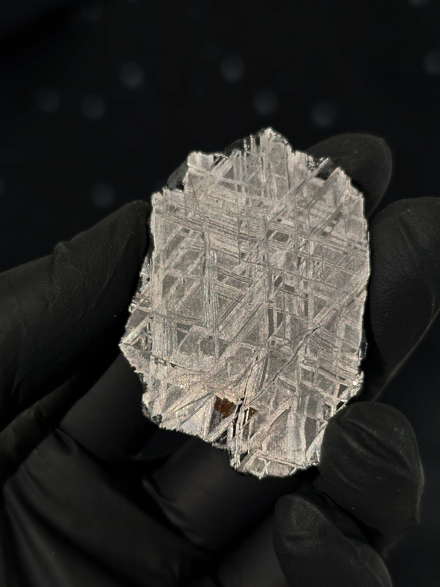 Muonionalusta Meteorit Scheibe 17,8g mit Zertifikat