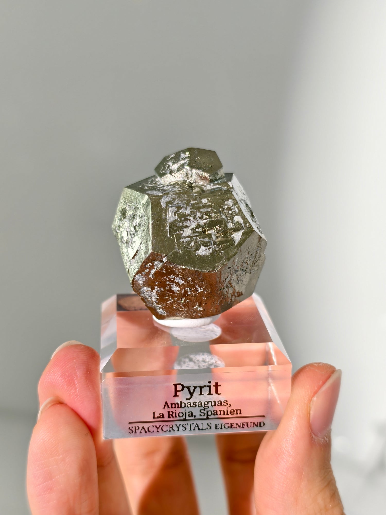 Pyrit aus Ambasaguas (Eigenfund)