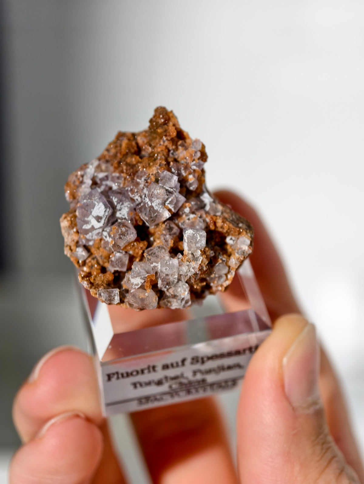 Fluorit Oktaeder auf Spessartin Granat aus Tongbei