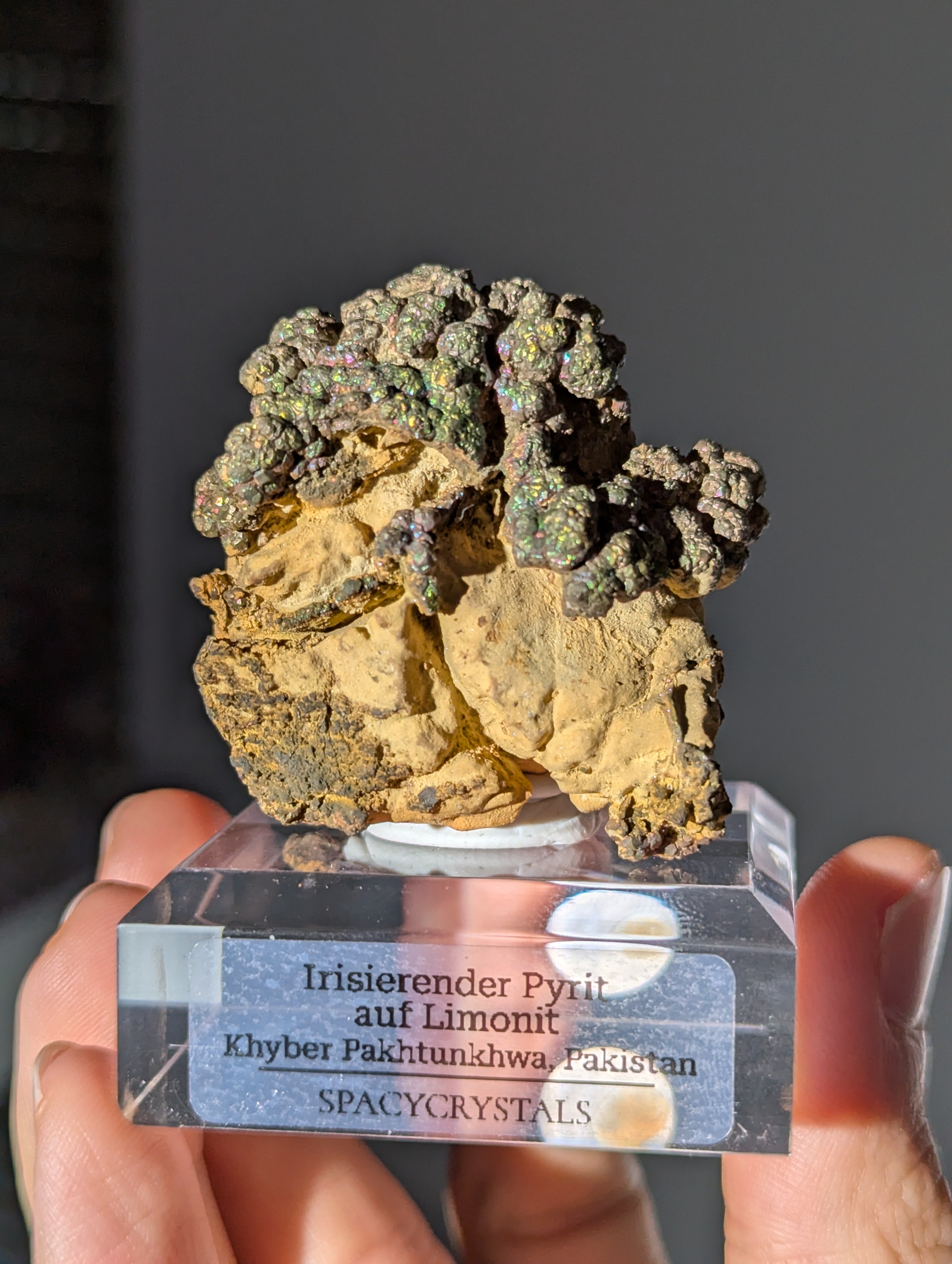 Irisierender Pyrit &quot;Bonsai&quot; auf Limonit