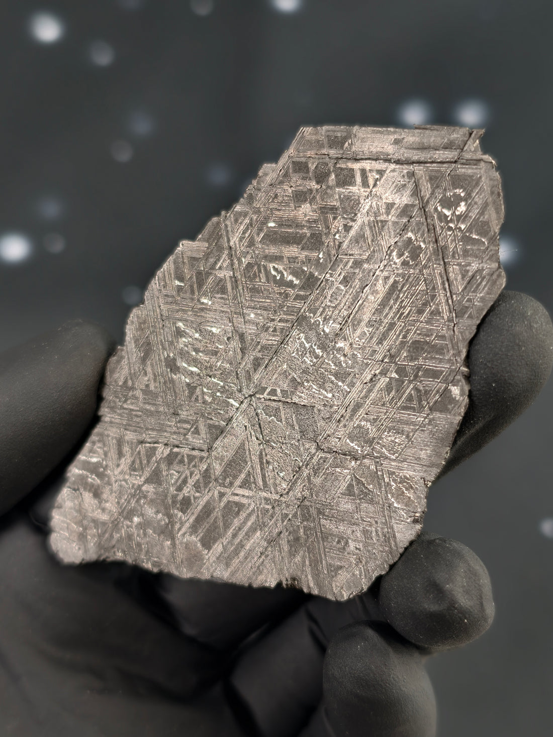 Muonionalusta Meteorit Scheibe 30,1g mit Zertifikat