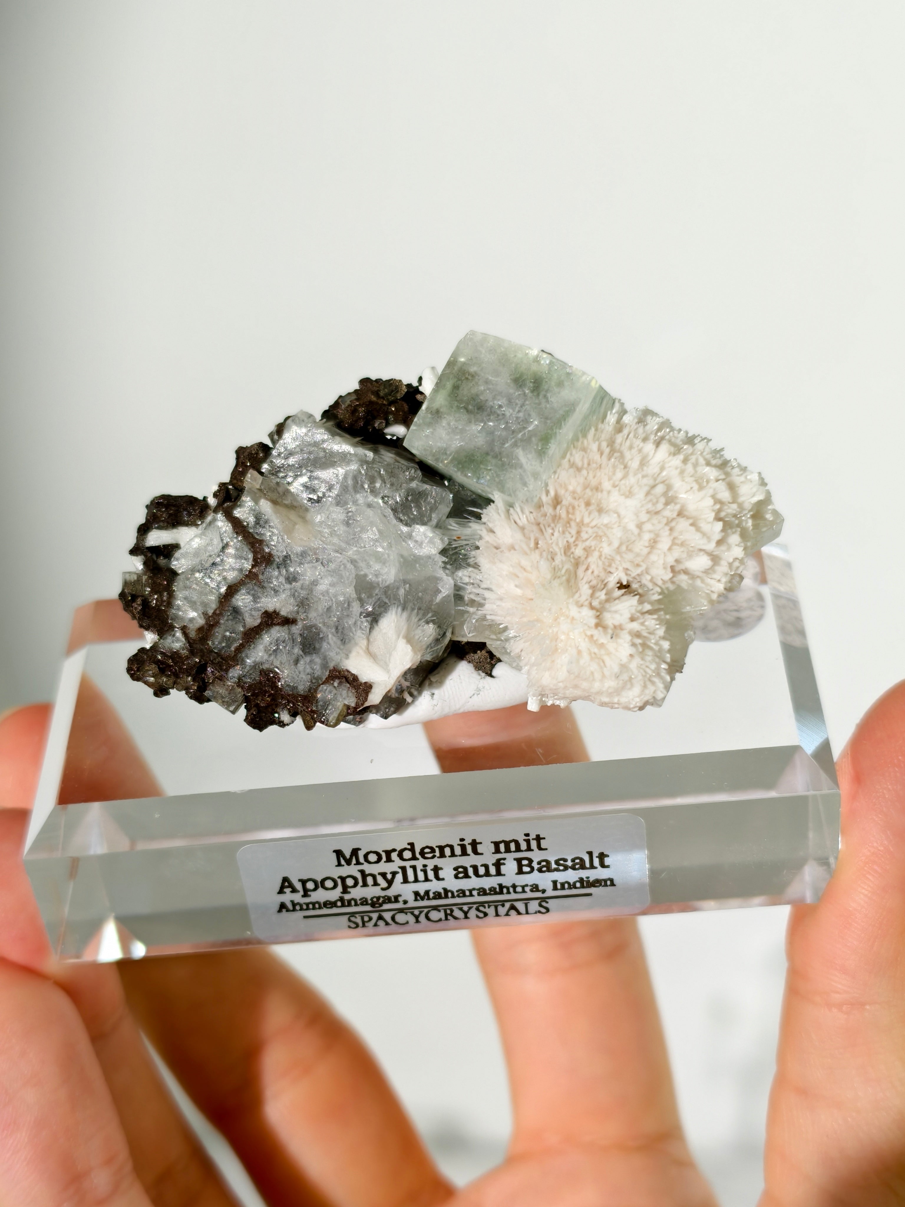 Mordenit mit Apophyllit auf Basalt aus Indien