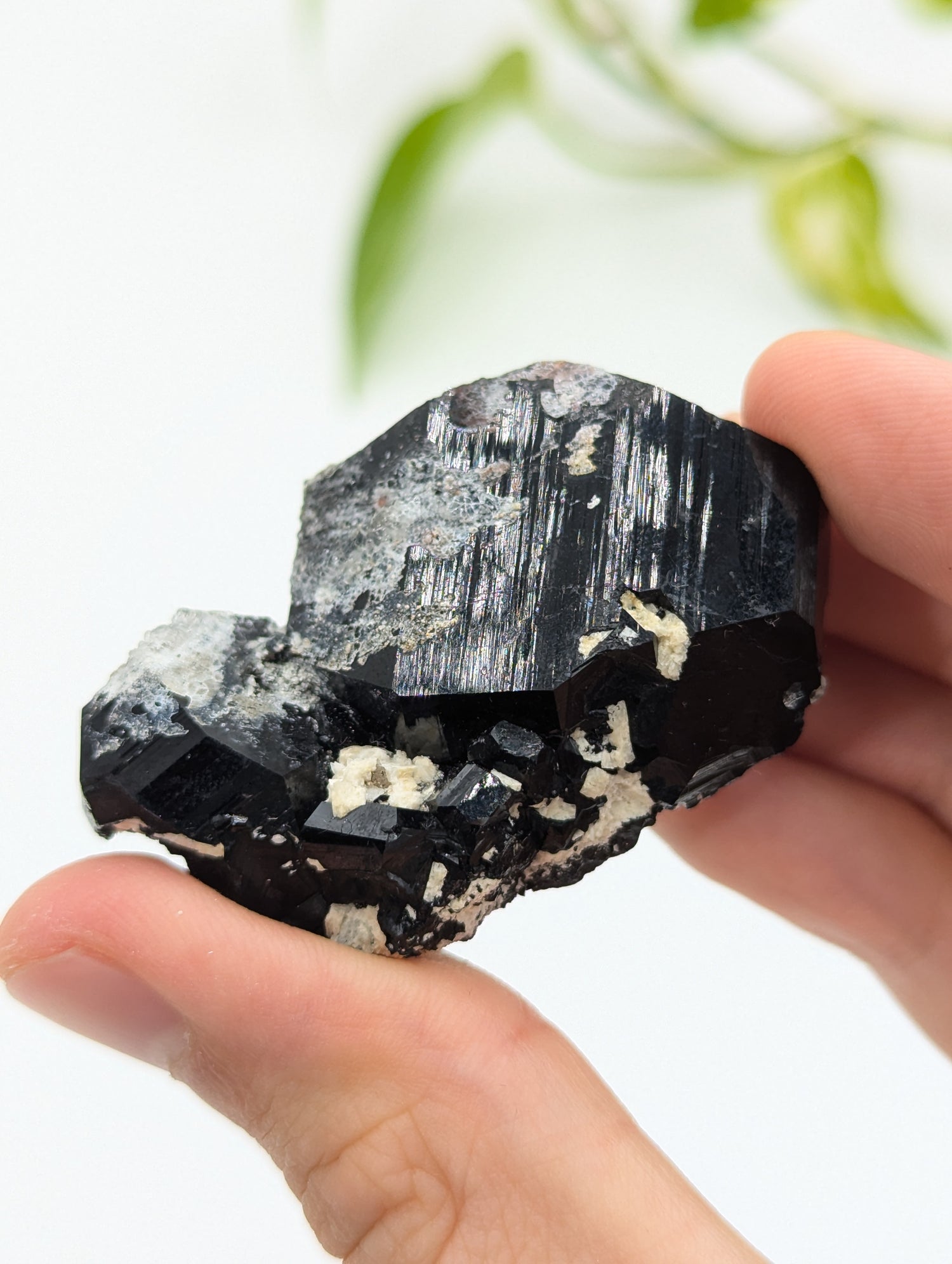 Schwarzer Turmalin (Schörl) aus Erongo IV