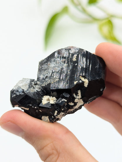 Schwarzer Turmalin (Schörl) aus Erongo IV