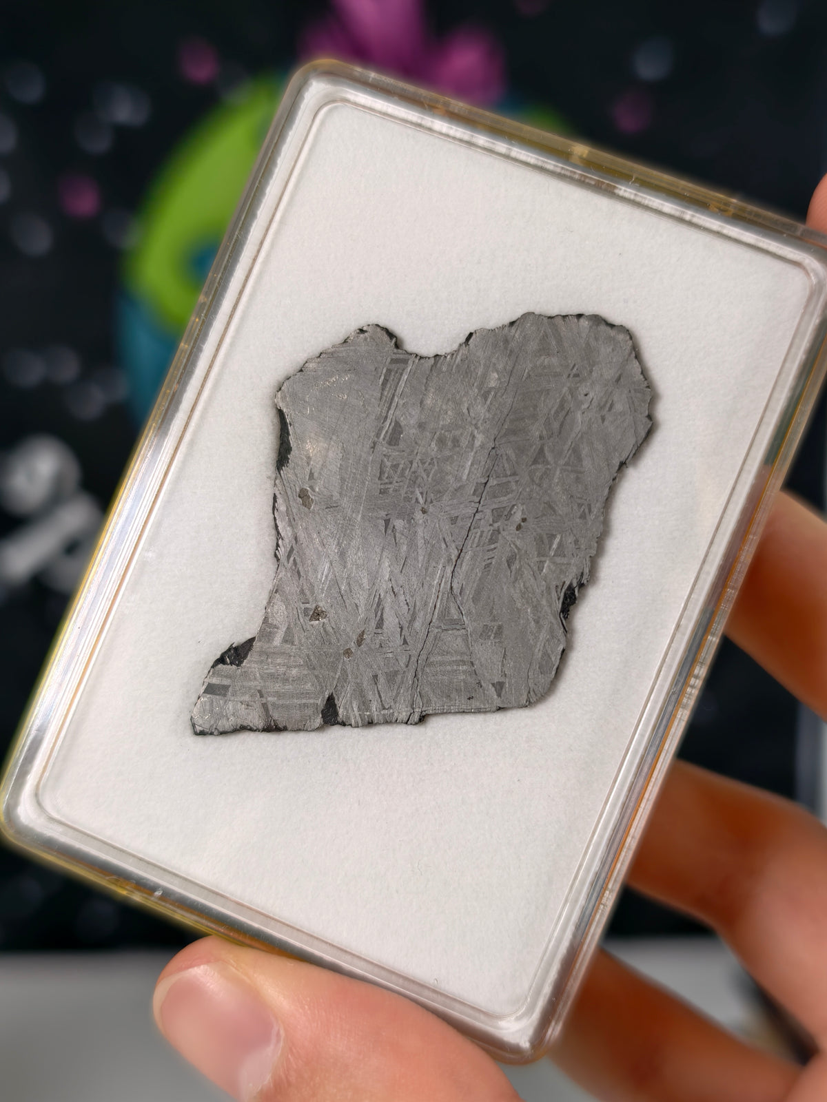 Muonionalusta Meteorit Scheibe 13,86g mit Zertifikat