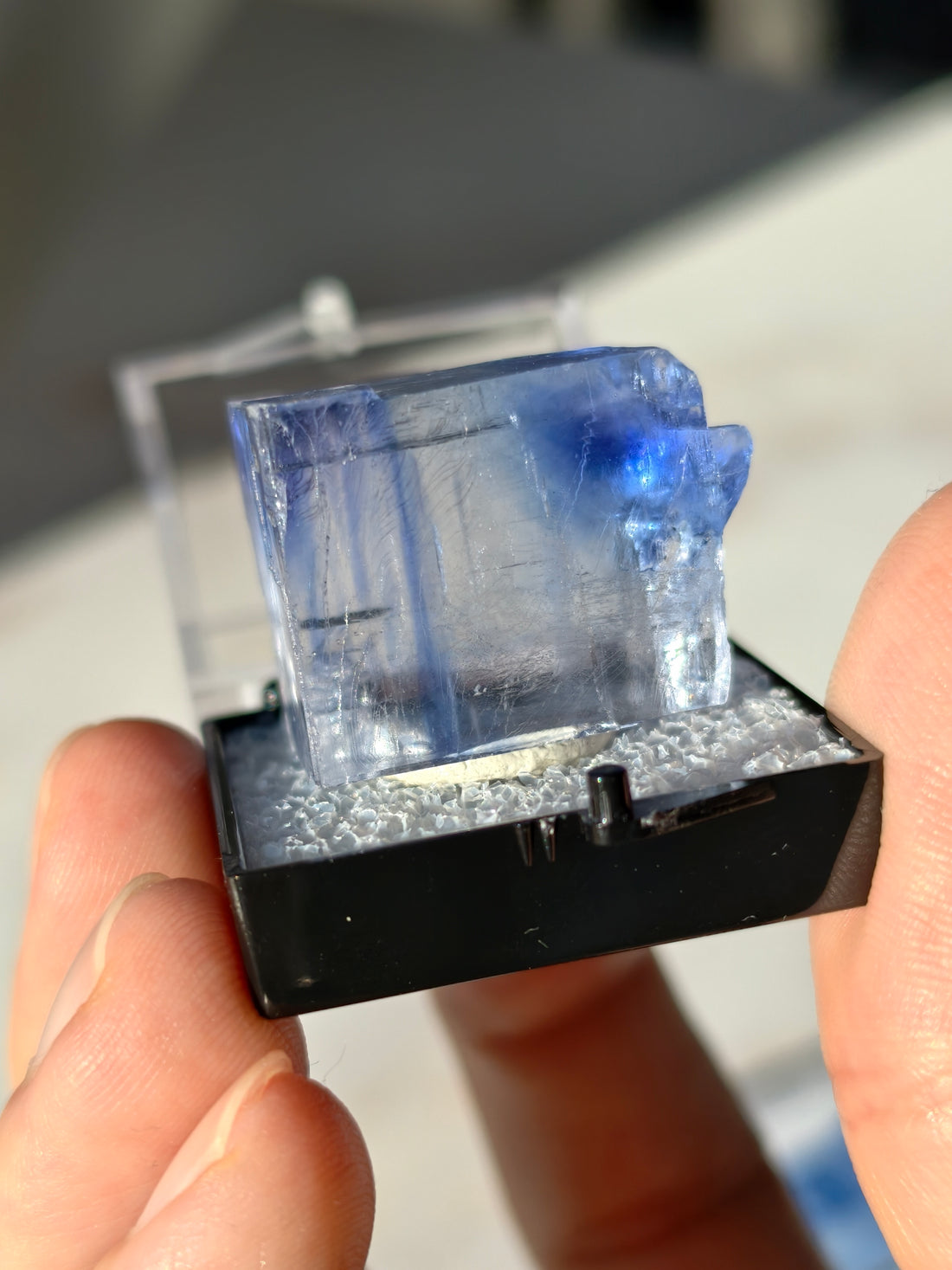 Blauer Halit aus Türkei in Box