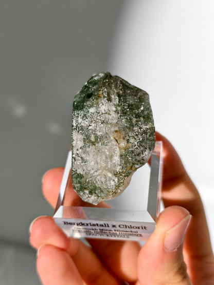 Himalaya Bergkristall mit Chlorit Einschlüssen