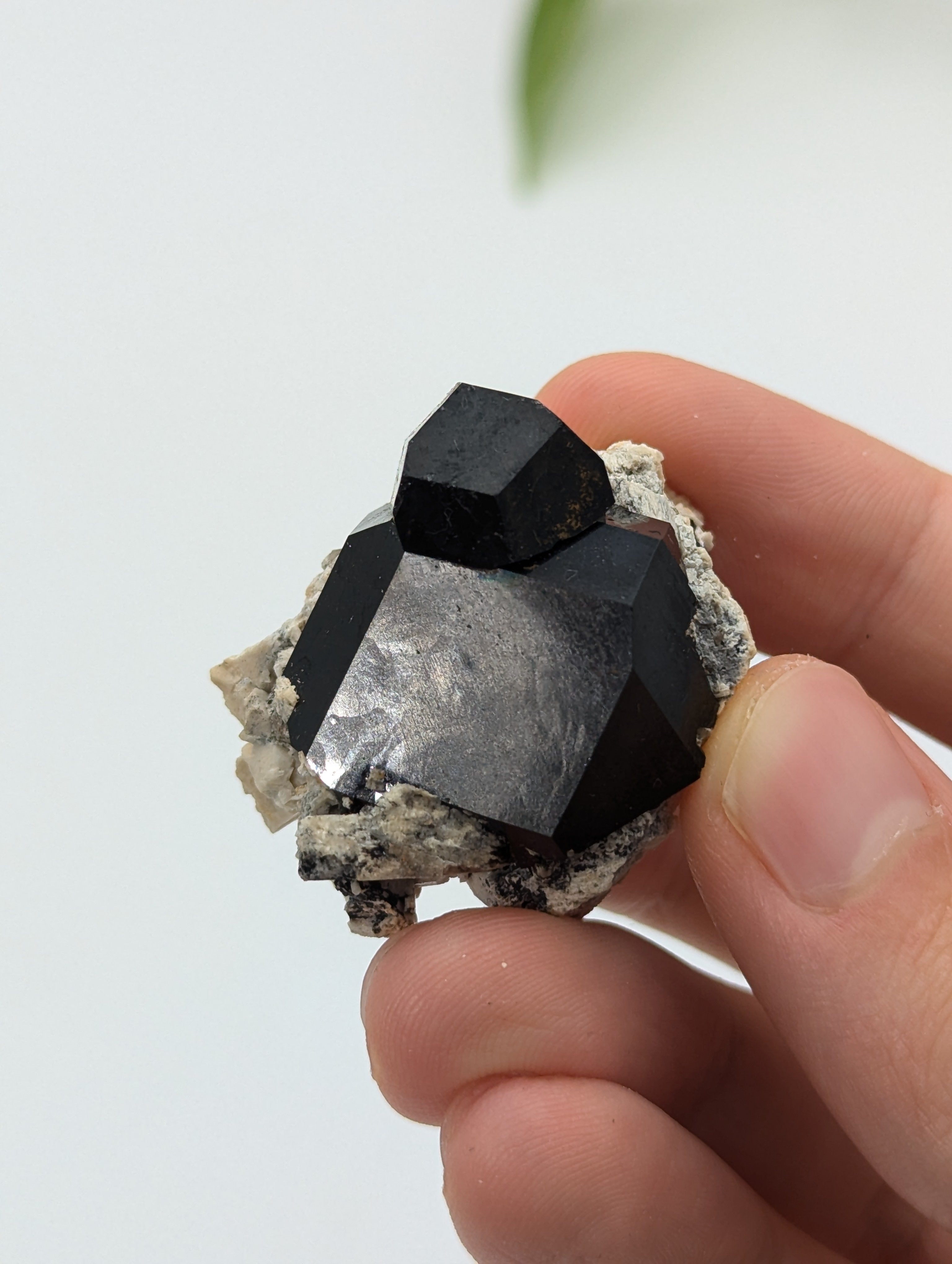 Schwarzer Turmalin (Schörl) aus Erongo III