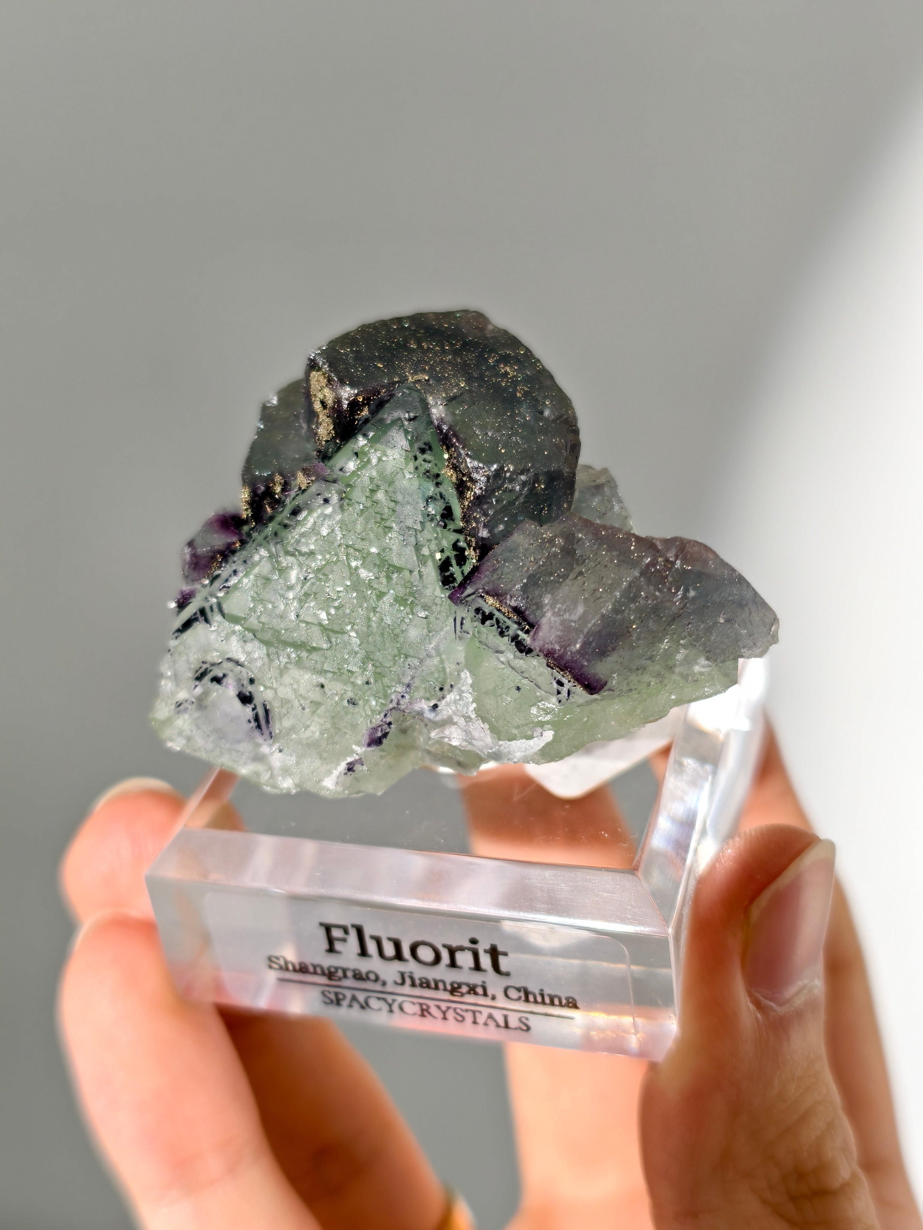 Shangrao Fluorit mit Pyrit: grüner Oktaeder mit lila Würfeln, Neufund!