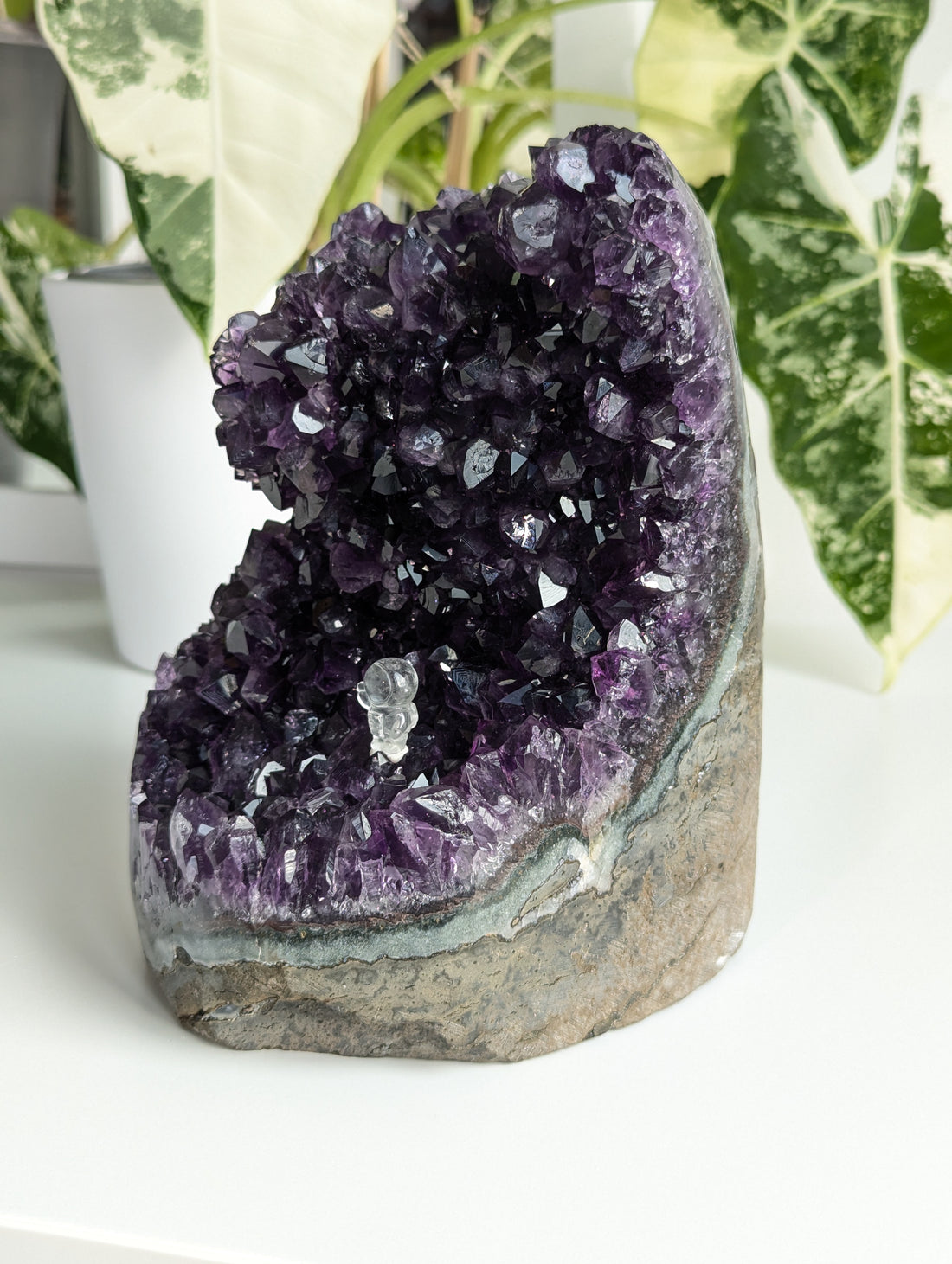 große Amethyst Druse AA-Qualität aus Uruguay