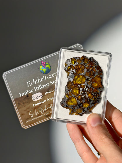 Imilac Pallasit Meteorit Scheibe 20.04g mit Zertifikat