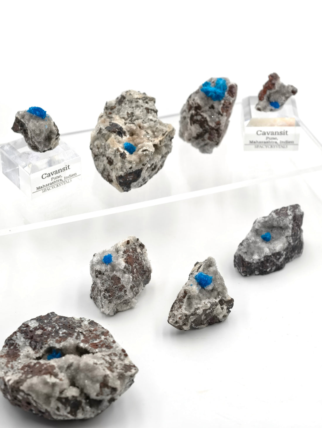 Cavansite aus Indien in Matrix