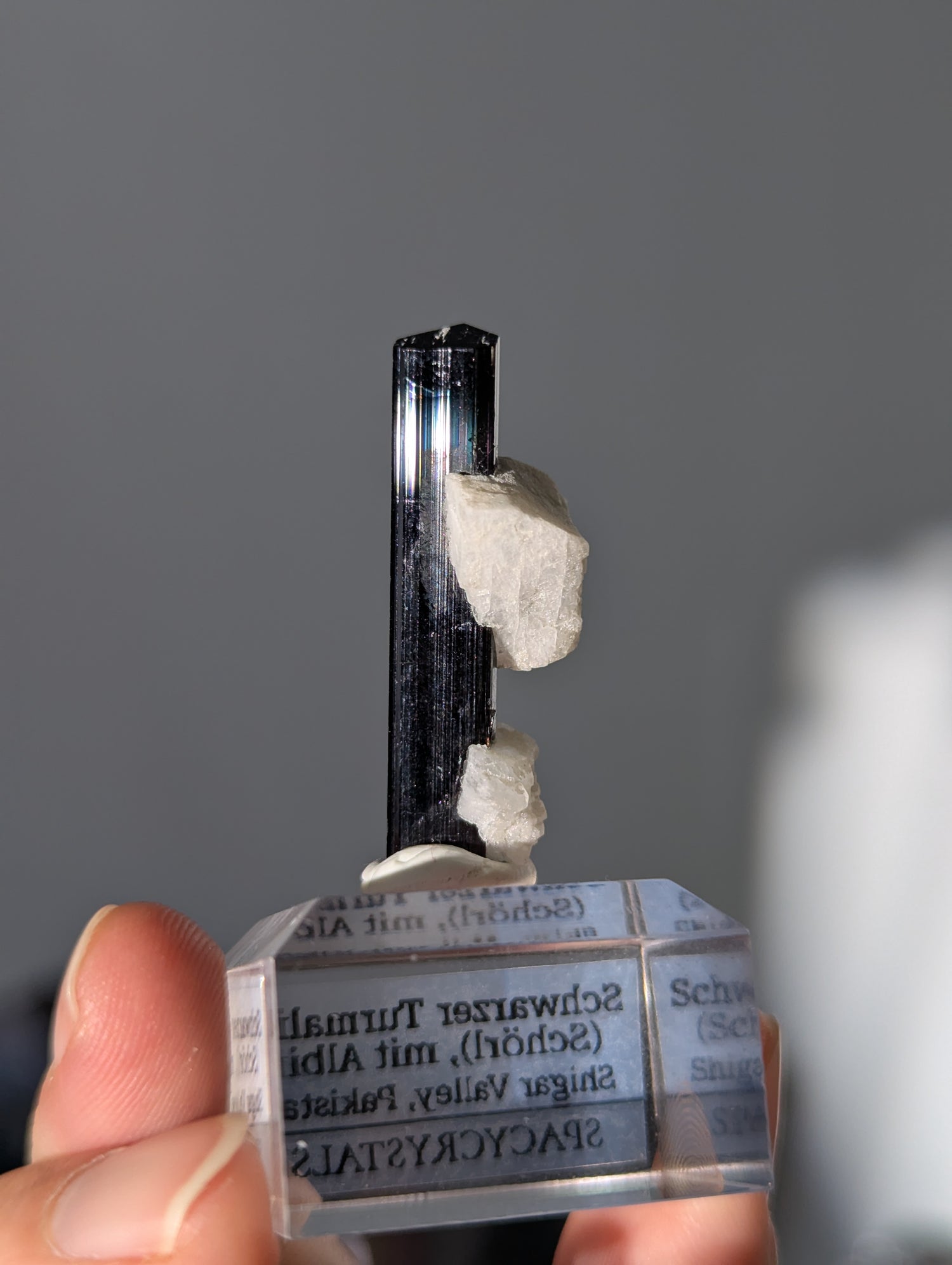 Schwarzer Turmalin (Schörl) mit Albit auf Podest