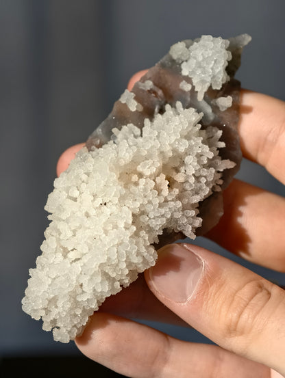 Chalcedon Stalaktiten auf dunklem Chalcedon (2. Generation) Neu!