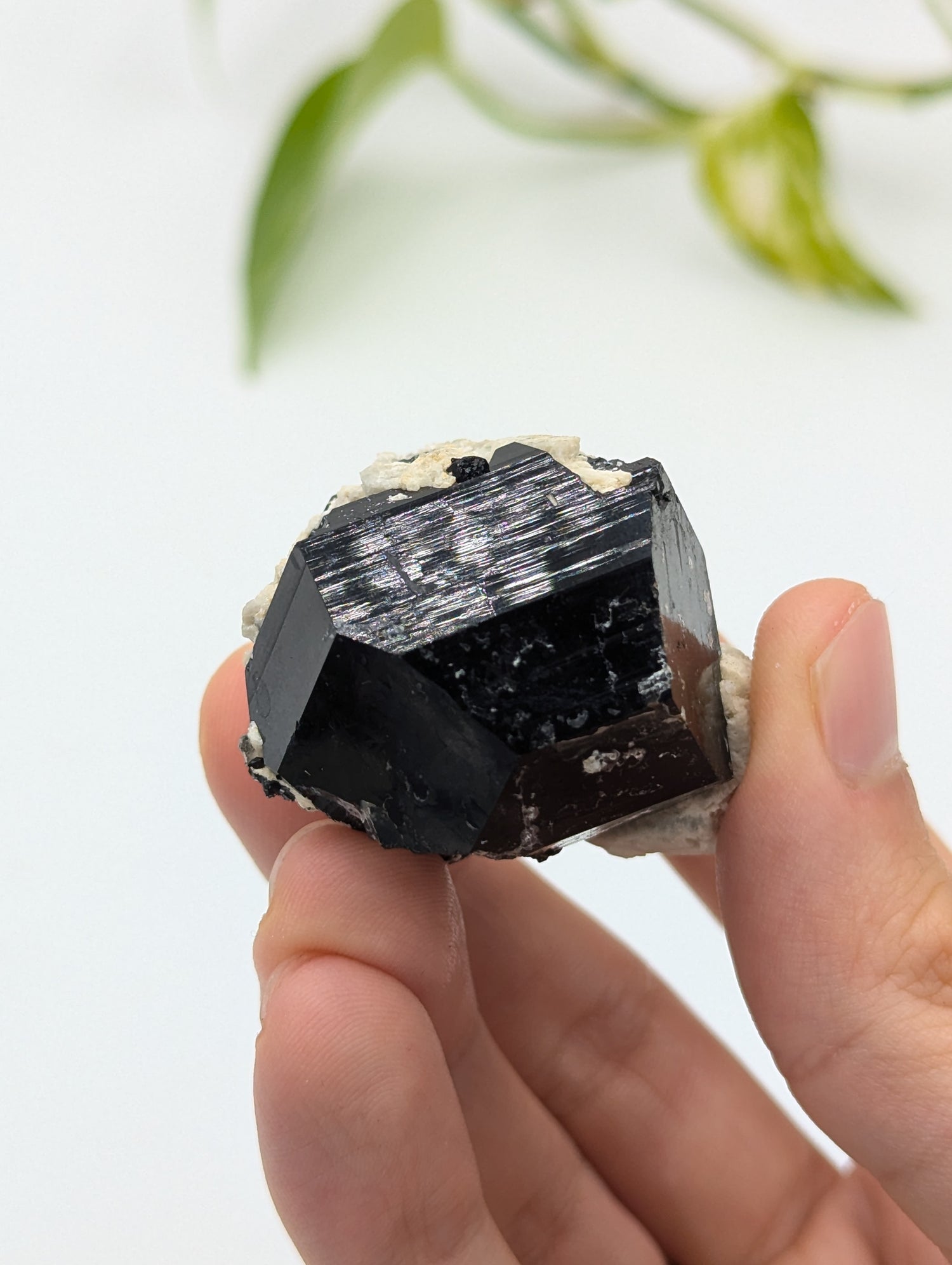 Schwarzer Turmalin (Schörl) aus Erongo II