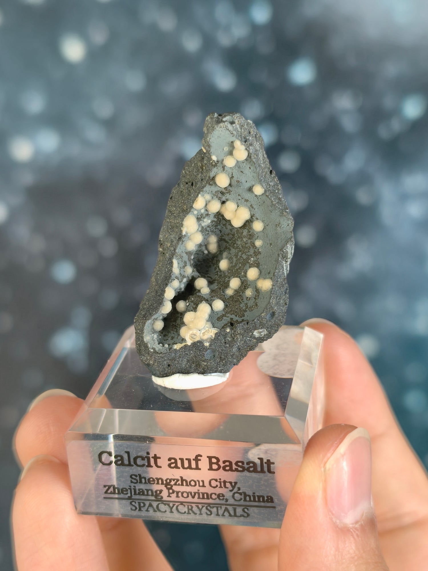 Botryoidaler Calcit auf Basalt - Neuer Fund (groß)