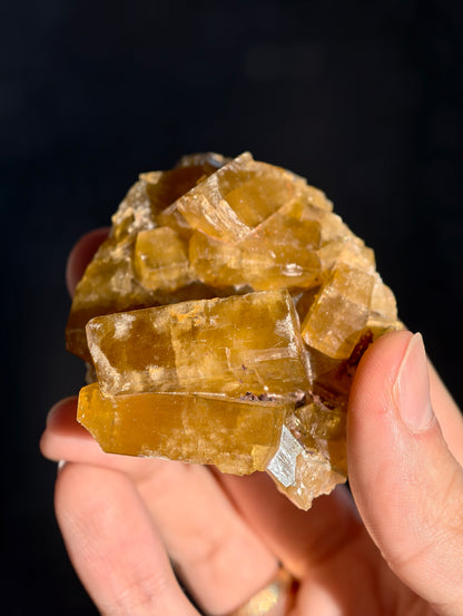 Goldgelber Barit 🍯 aus Jiangxi